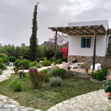 Lemon Tree Cottage Finikounta Exterior photo
