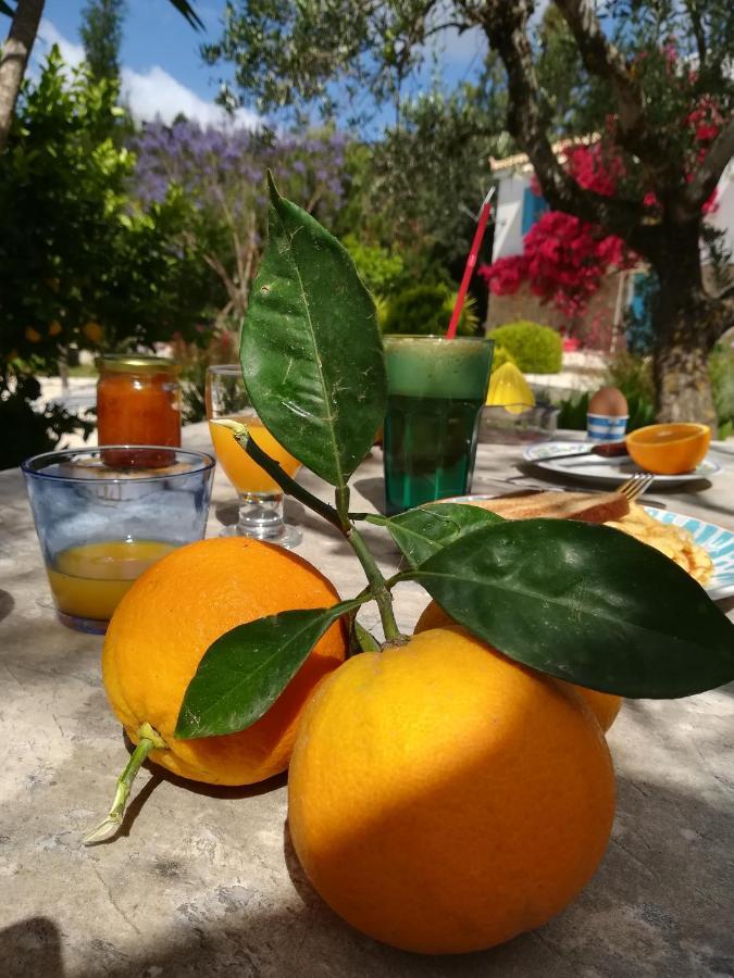 Lemon Tree Cottage Finikounta Exterior photo
