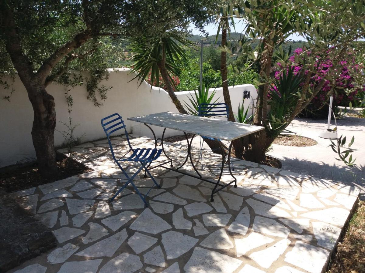 Lemon Tree Cottage Finikounta Exterior photo